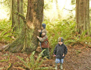 Tree huggers at EcoFest.