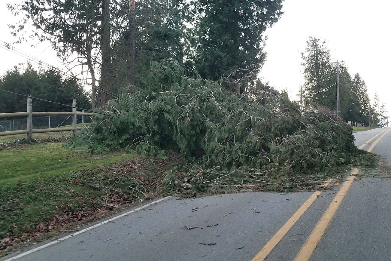 After the storm: Power still off, roads remain closed in parts of Kitsap