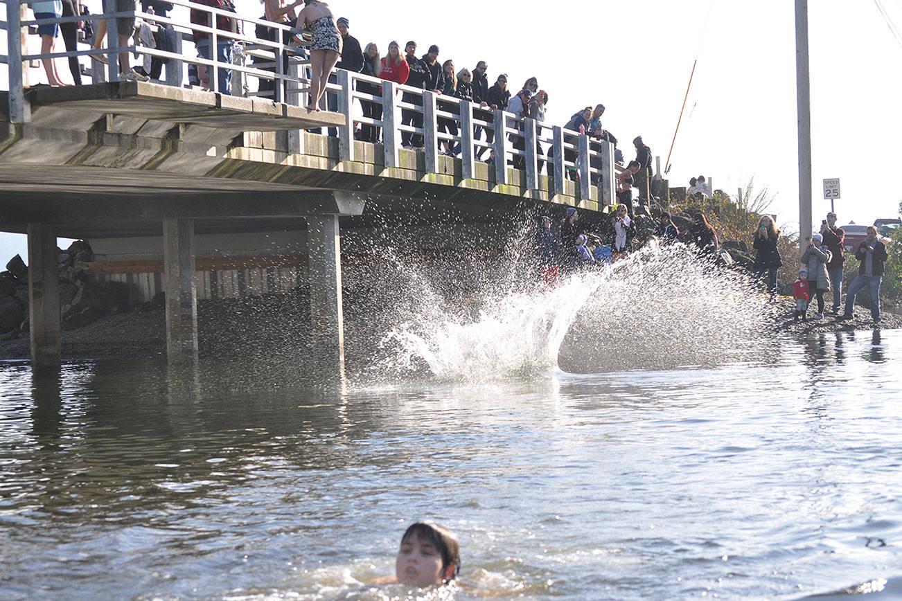 Gallery | Olalla Polar Bear Plunge 2019