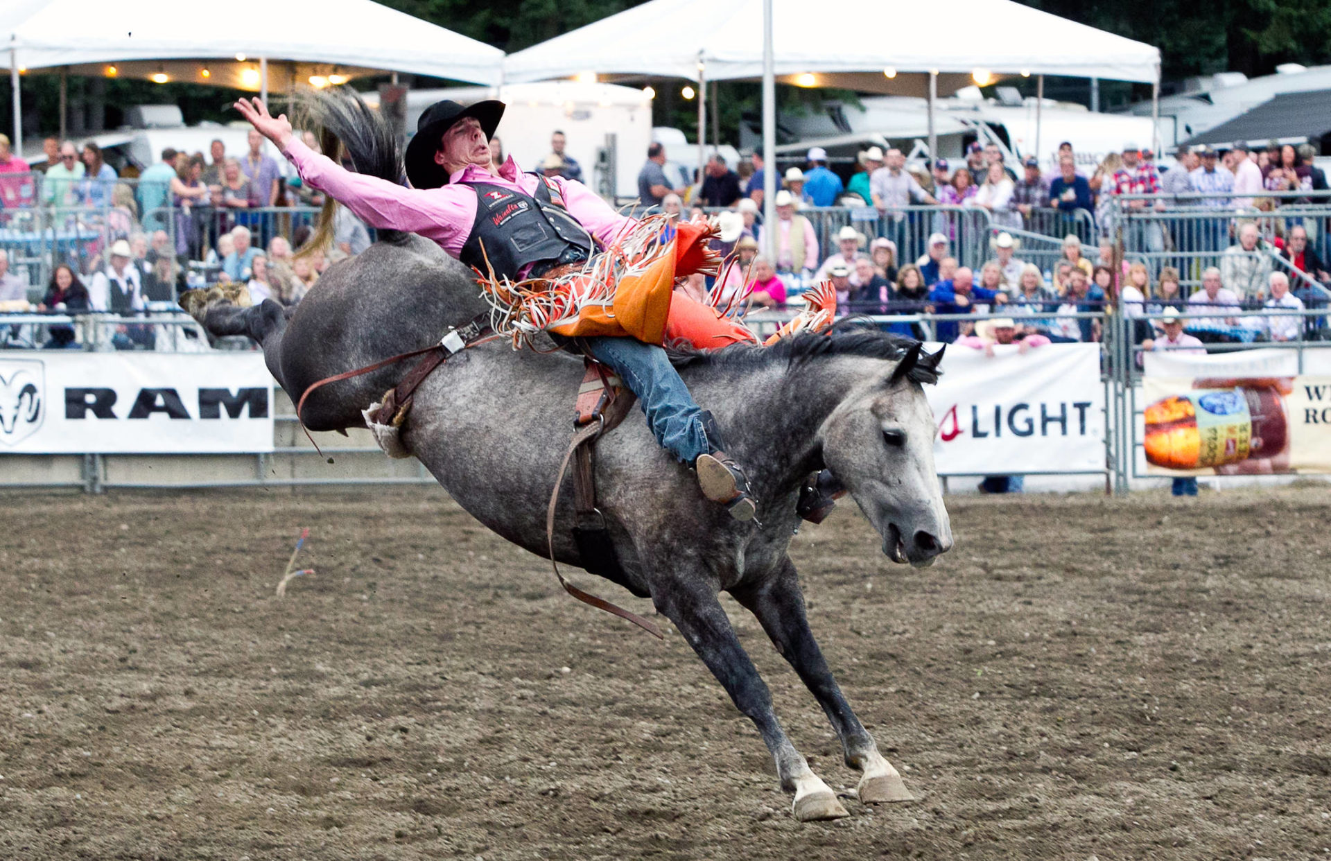 See you at the fair! Kitsap County’s summer celebration returns