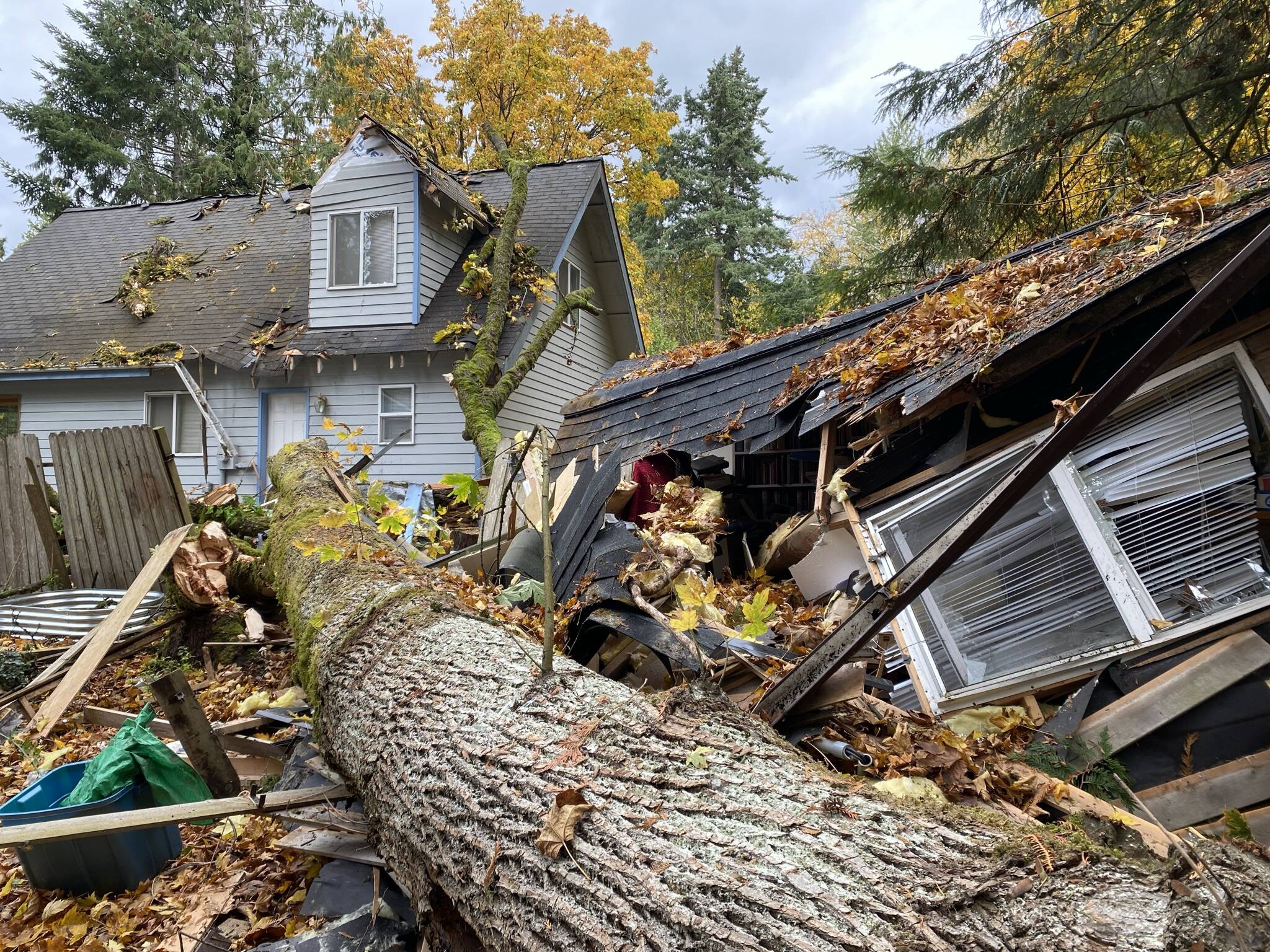 Large maple tree in the foreground with Indianola shed, fence and two-story home in the background. NKFR Courtesy Photos