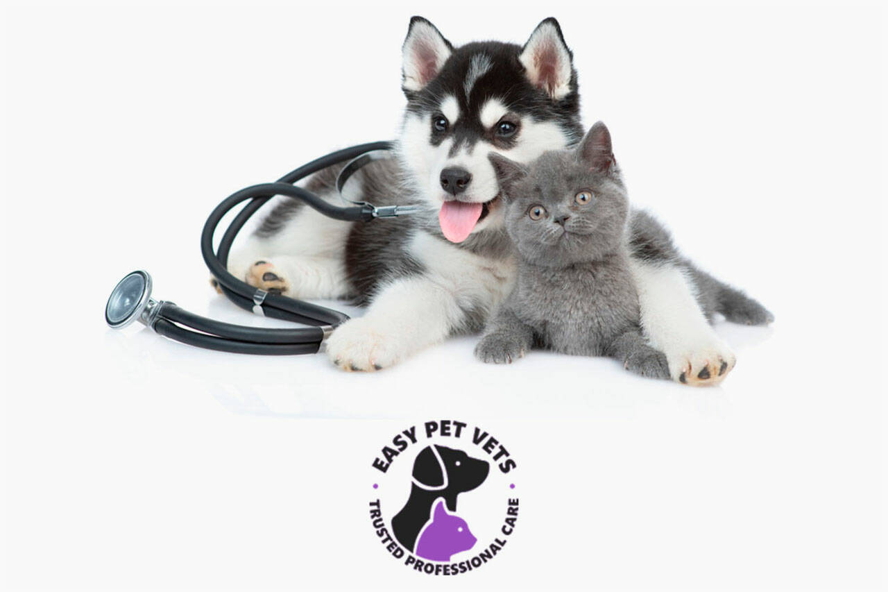 Easy Pet Vets Reviews Get Instant Pet Services with Phone