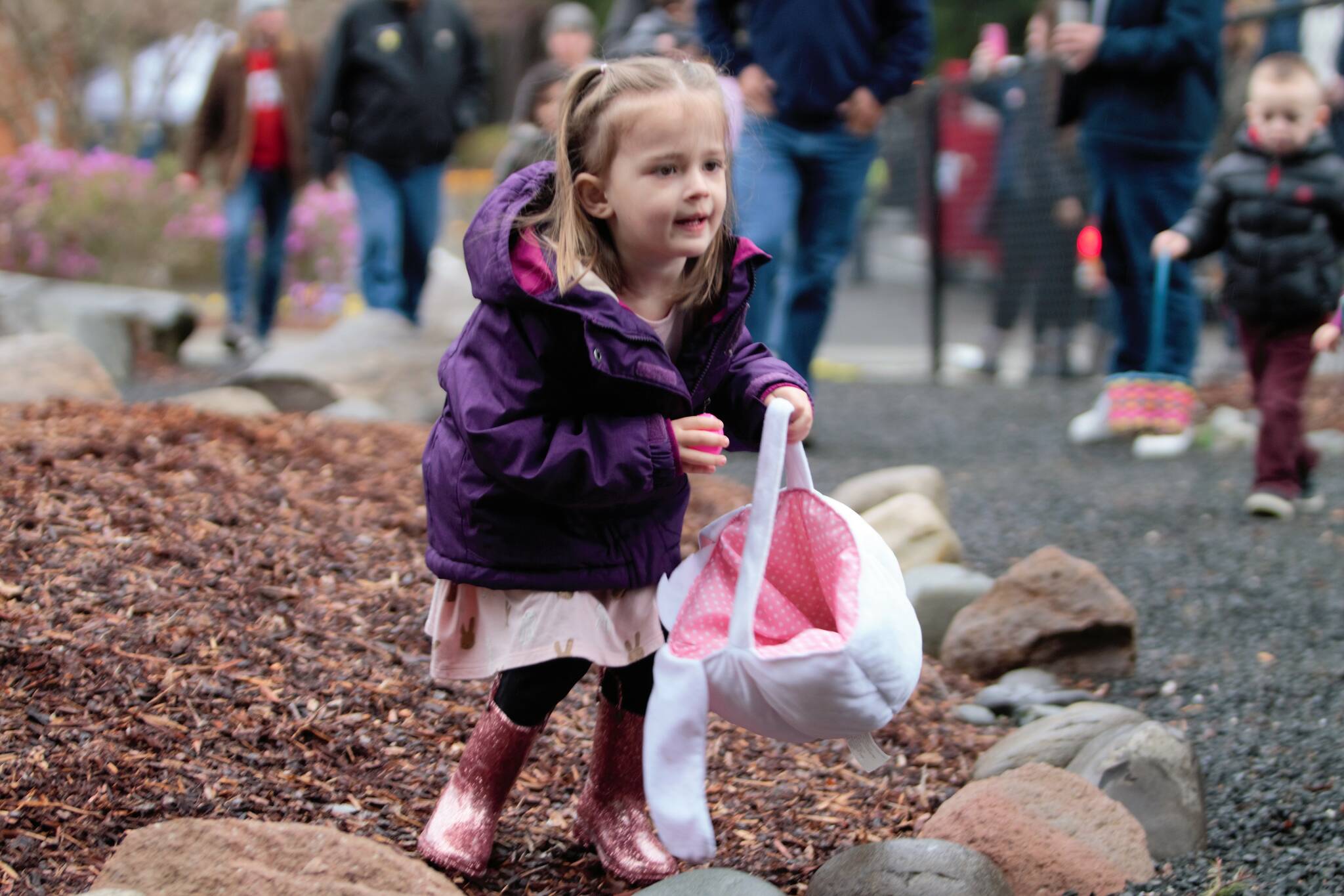 A young girl builds up her collection at an Easter egg hunt at Olalla Elementary April 8. Elisha Meyer/Kitsap News Group Photos