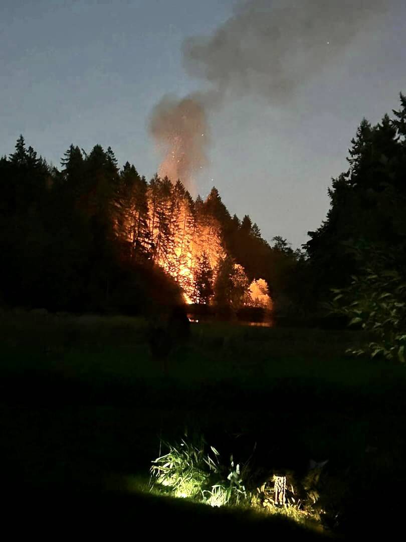 Tina Helmke Fein courtesy photo
Flames and smoke rise from the trees in Olalla.