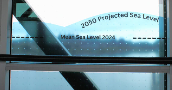 Molly Hetherwick/Kitsap News Group photos
A window decal demonstrating global sea level rise, installed on a window of the Bainbridge Island Ferry Terminal June 28.