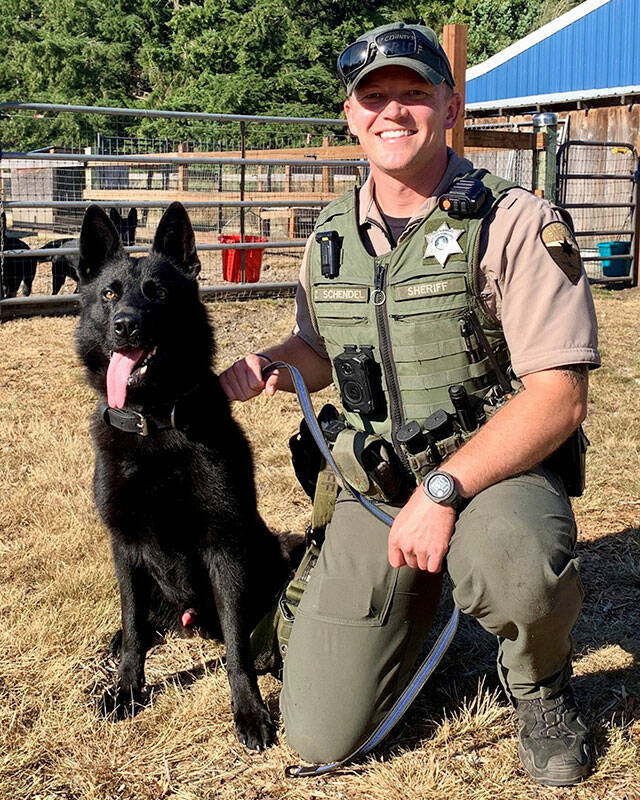 KCSO courtesy photos
K-9 Milo with deputy Zach Schendel.