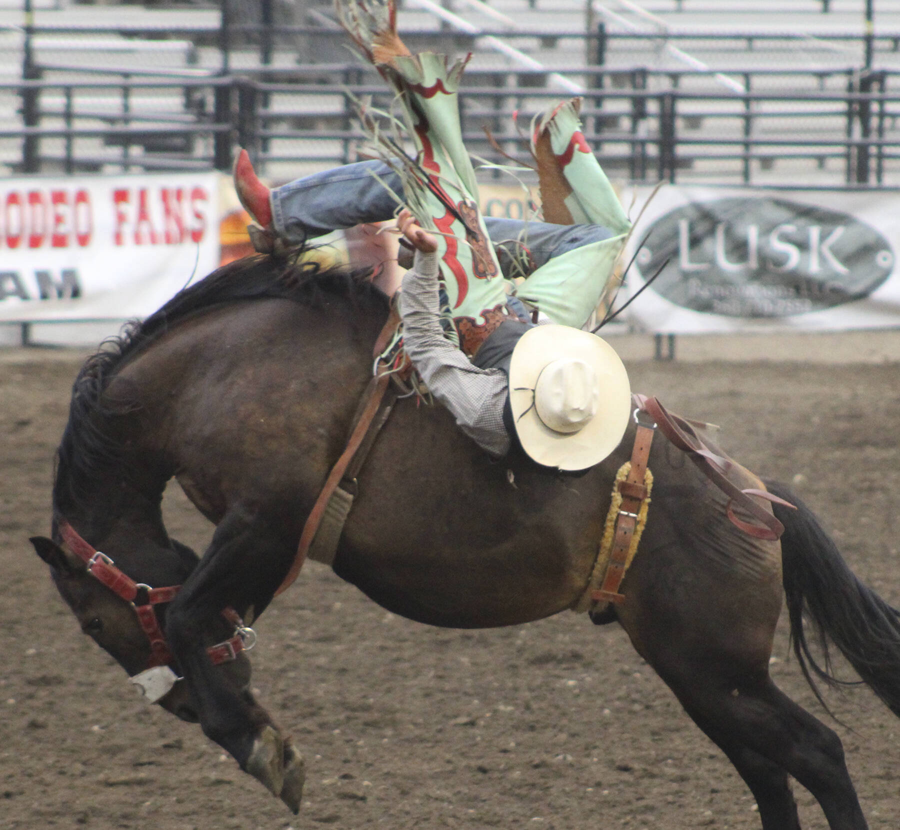 Elisha Meyer/Kitsap News Group photos
Clayton Moss somehow finds a way to stay on his horse on the first night of the rodeo.