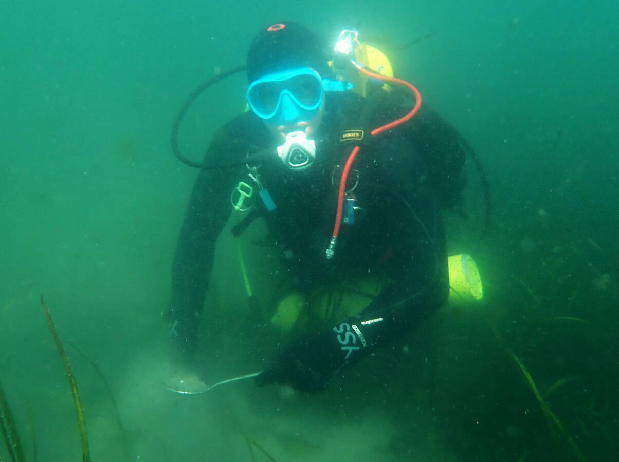 EPA courtesy photos
A scientific diver collects sediment samples in a healthy eelgrass bed for future chemical, physical and taxonomic analyses.