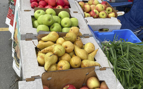 File photo
Eligible older adults for the Senior Farmers Market Nutrition Program will receive an $80 gift card to purchase fresh fruits and vegetables at several local farmers markets.