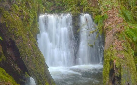 Greater Peninsula Conservancy courtesy photo
The first waterfall that graces Dickerson Creek.