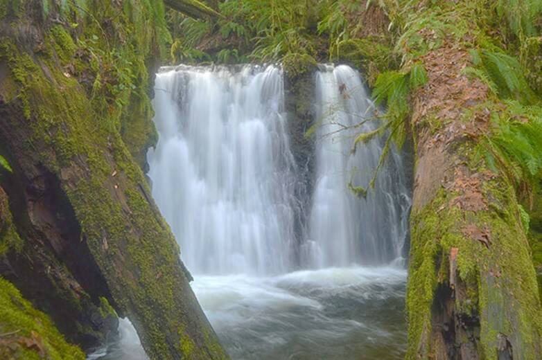 Greater Peninsula Conservancy courtesy photo
The first waterfall that graces Dickerson Creek.