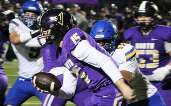 Elisha Meyer/Kitsap News Group photos
NK junior quarterback Dawsyn Anderson takes the ball toward the sideline in a first-half scramble away from Bremerton pressure.