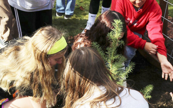 SKSD courtesy photos
John Sedgwick Middle School was one of the few schools nationwide to receive one of the historic trees.