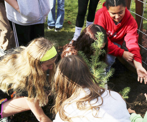 SKSD courtesy photos
John Sedgwick Middle School was one of the few schools nationwide to receive one of the historic trees.