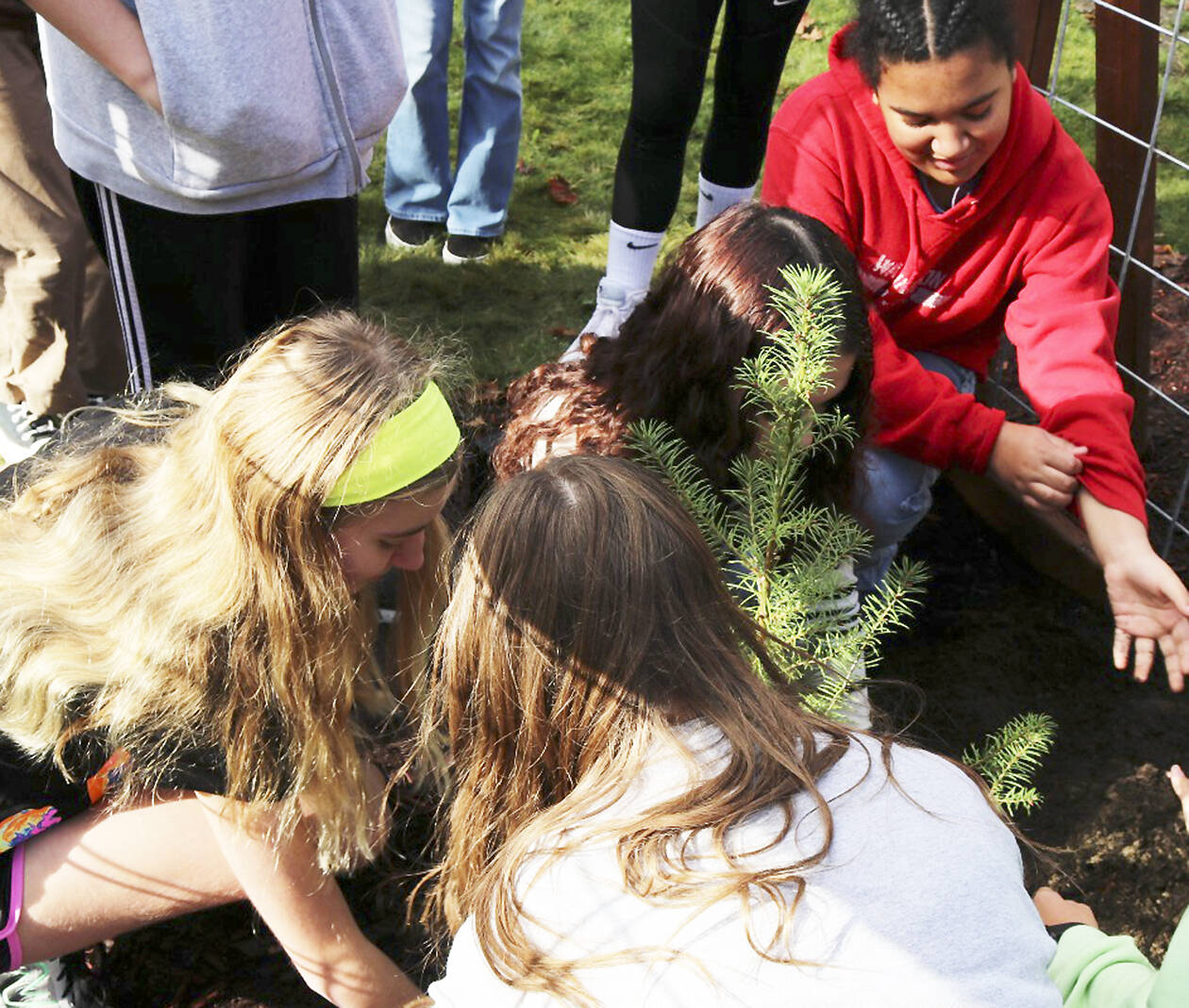 SKSD courtesy photos
John Sedgwick Middle School was one of the few schools nationwide to receive one of the historic trees.