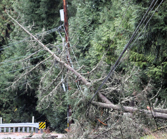 Elisha Meyer/Kitsap News Group photos
Fallen trees and a snapped electrical pole along this stretch of Silverdale Way NW caused power to go out for approximately 1,300 Kitsap County residents.