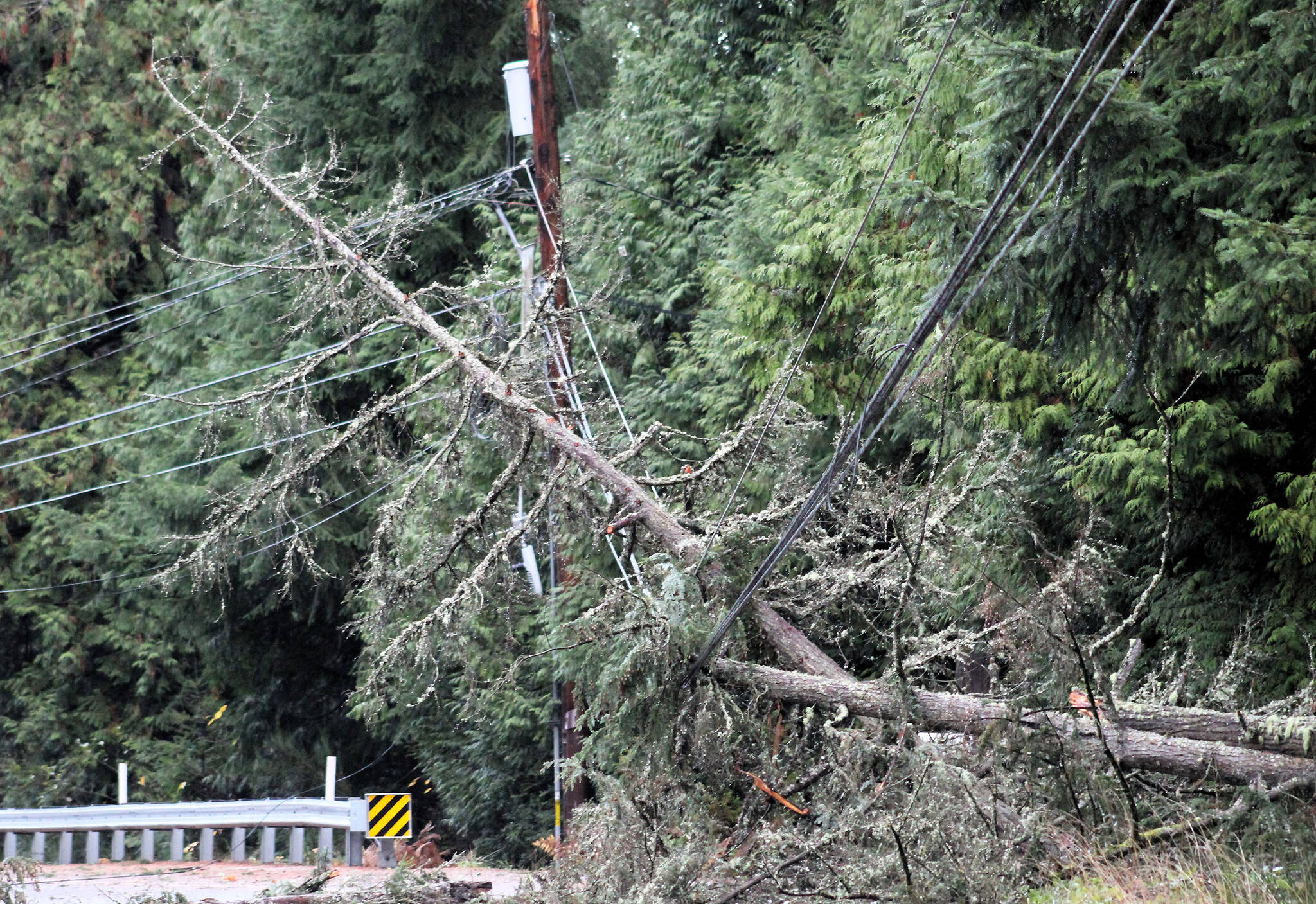 Elisha Meyer/Kitsap News Group photos
Fallen trees and a snapped electrical pole along this stretch of Silverdale Way NW caused power to go out for approximately 1,300 Kitsap County residents.