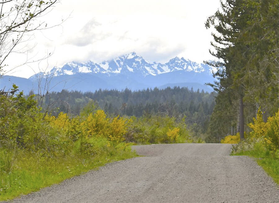 GPC courtesy photo
A look at the Olympic mountains from an area of the newly purchased property by the Great Peninsula Conservancy.