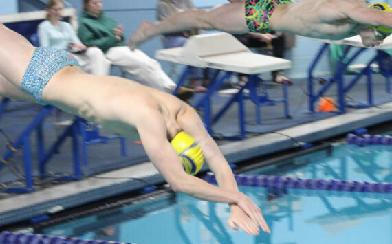 Luke Caputo/Kitsap News Group
Bainbridge swimmers diving into the pool in a match against the Bremerton Knights Jan. 15 at Bainbridge High School.